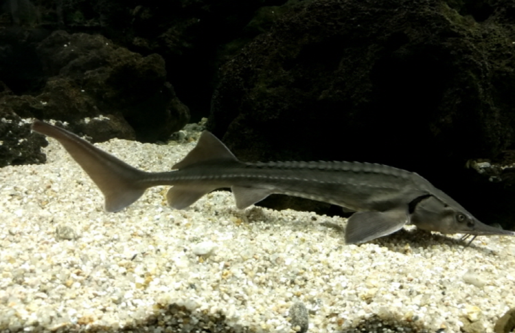 부천 자연생태공원