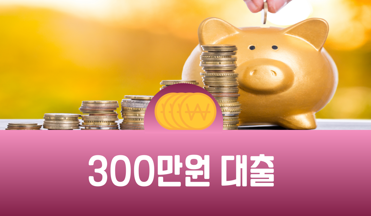 300만원 대출