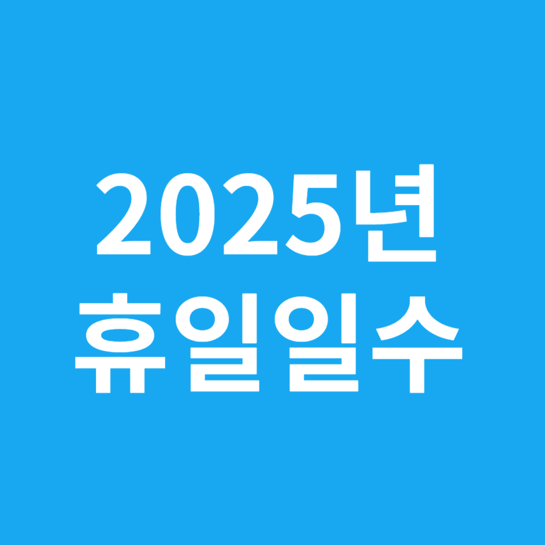 2025년 휴일일수