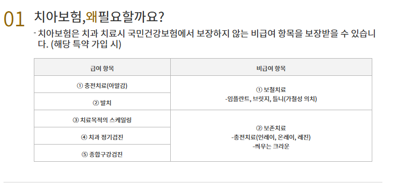 KB 치아보험