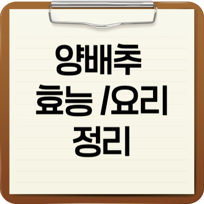 양배추 효능 요리 정리