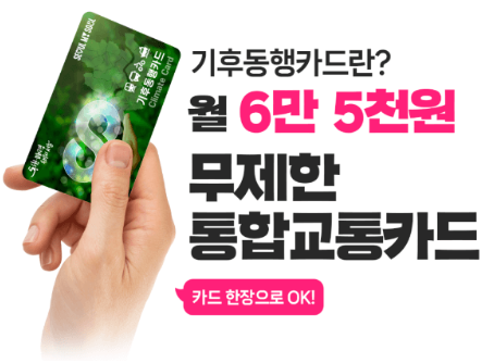 기후동행카드