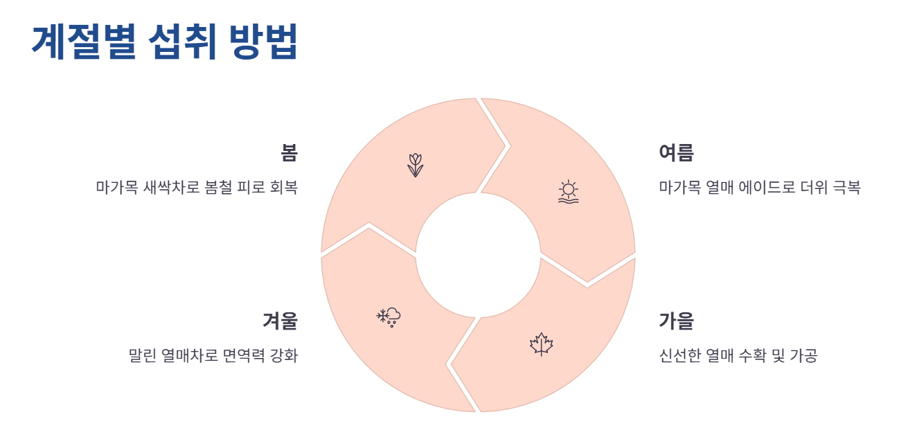 마가목 열매 최종 점검!