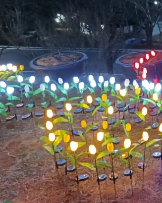 석모도 자연휴양림 숲나들e 국내 여행지 추천 관련 사진