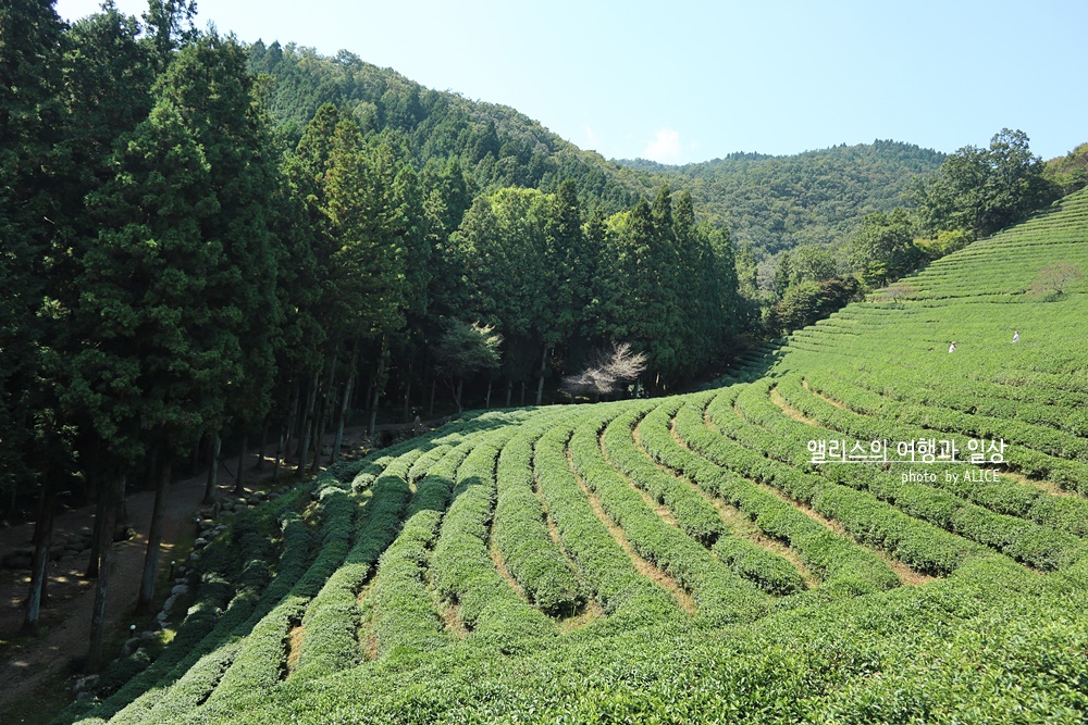 가을 이국적으로 아름다운 국내 여행지 사진 맛집 포토존 가을 여행지 가볼만한곳