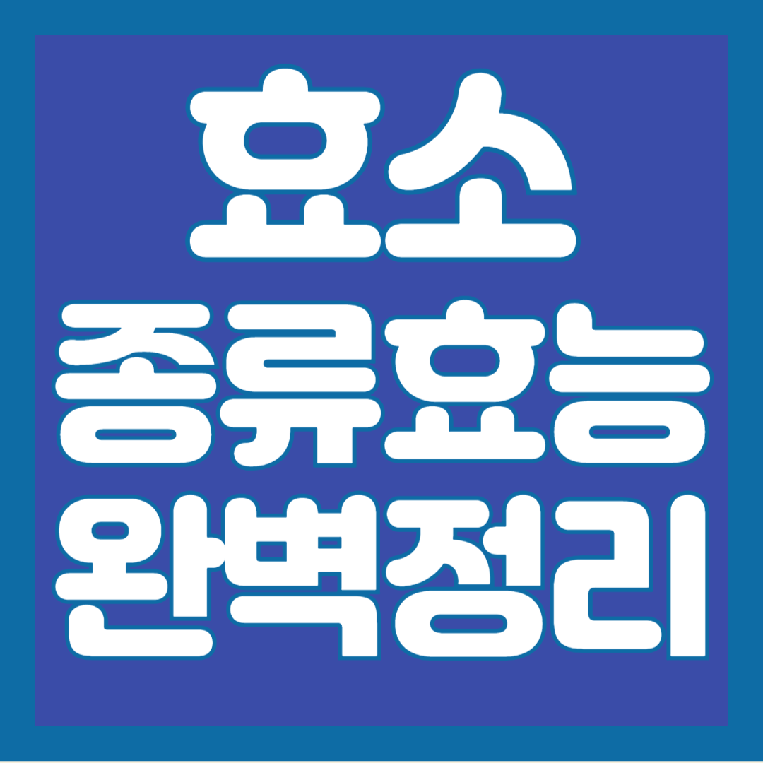 효소-종류-효능