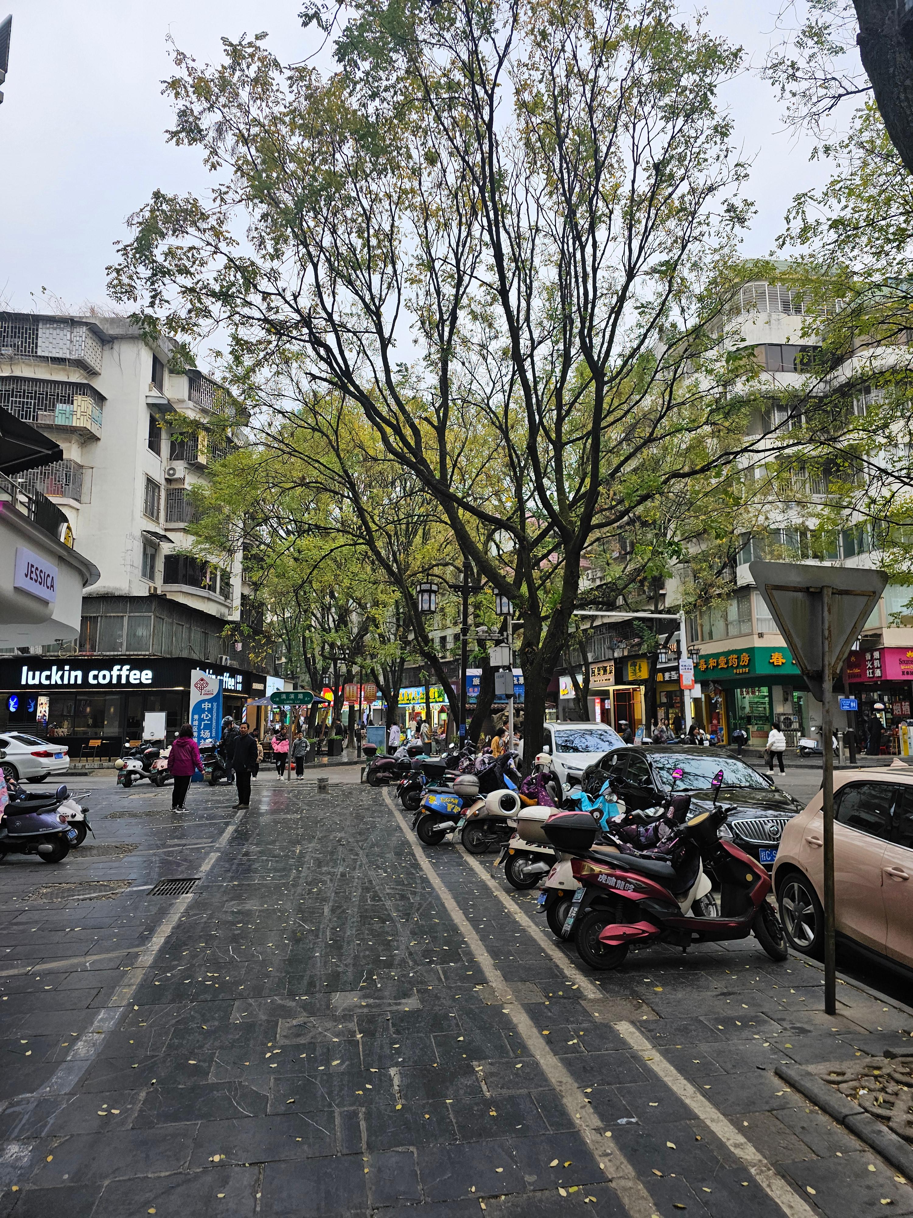 중국 계림 정양보행가