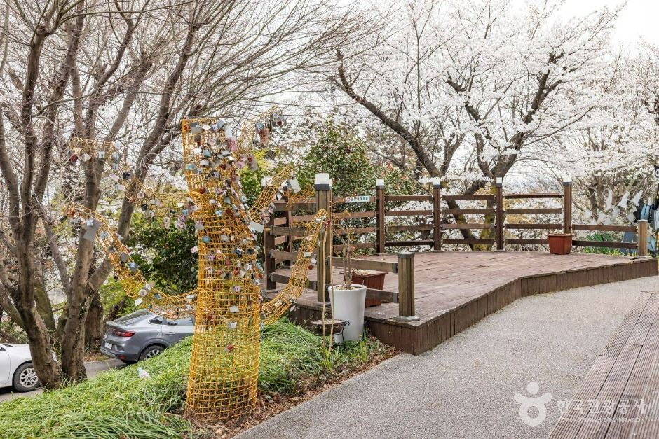 순천 가볼만한곳 베스트10