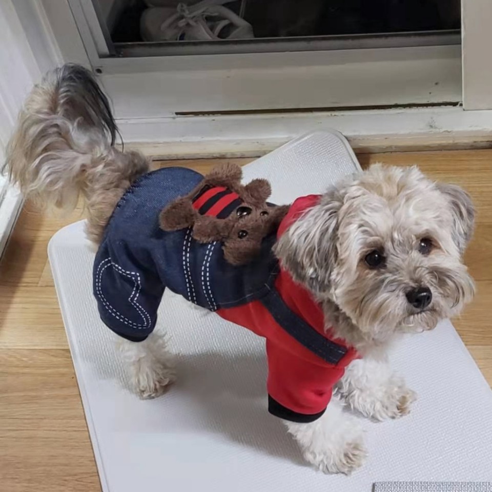 강아지 올인원 겨울옷