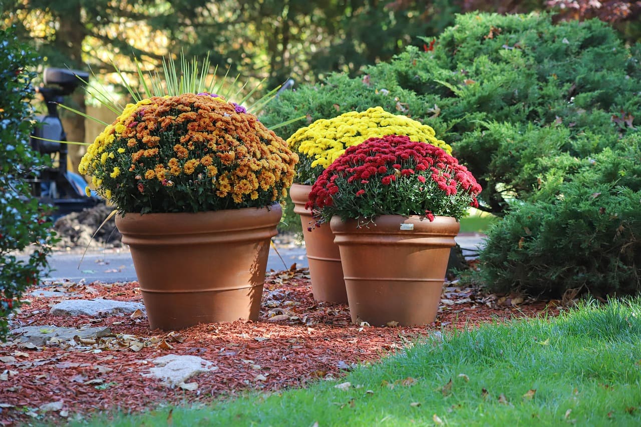 퇴직금·퇴직연금·퇴직금 중간정산 완벽 가이드 2025년 최신 노후 대비 전략