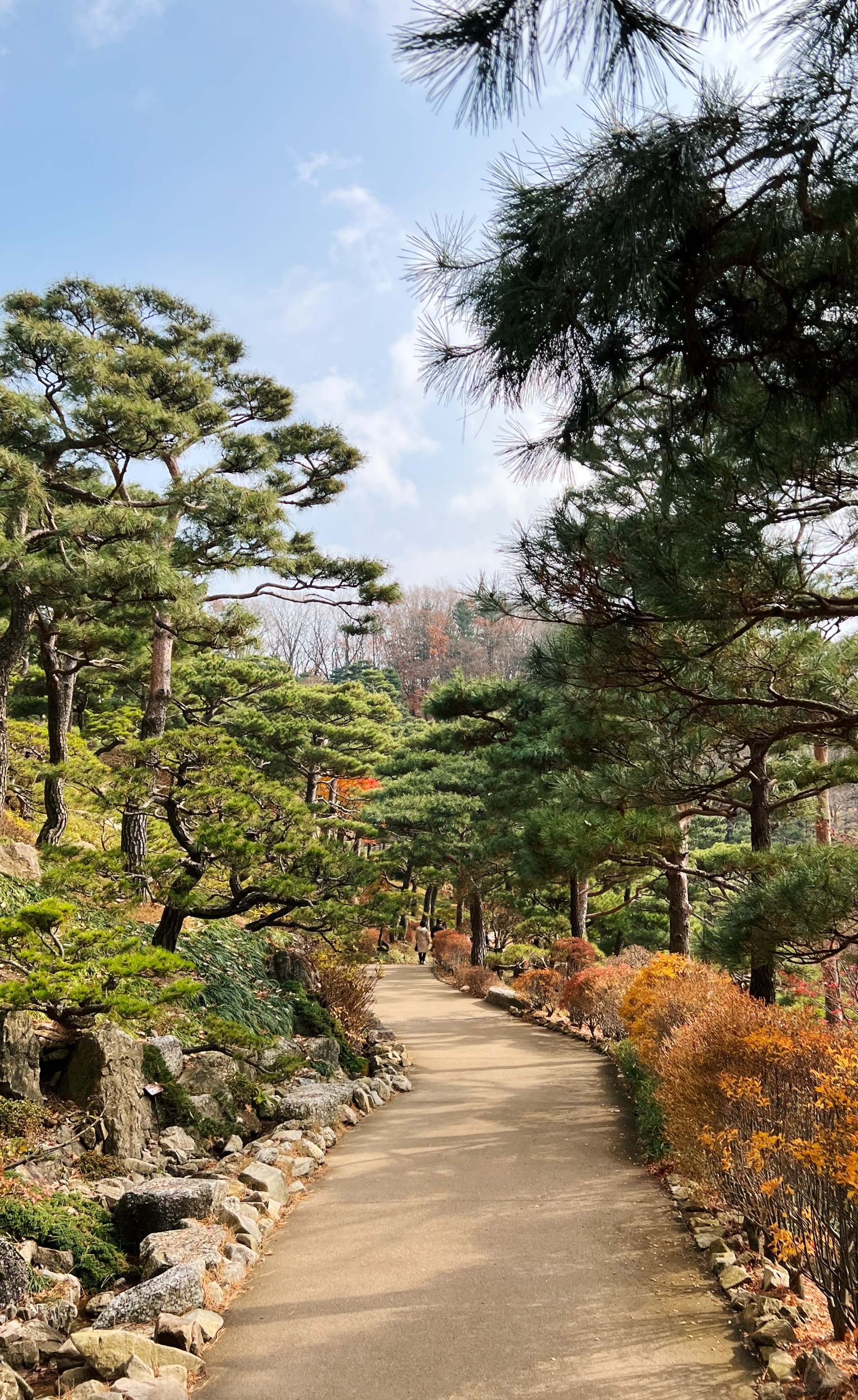 가을에 꼭 가봐야 할 곳