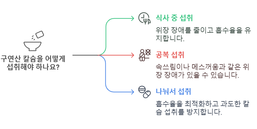 구연산 칼슘 흡수