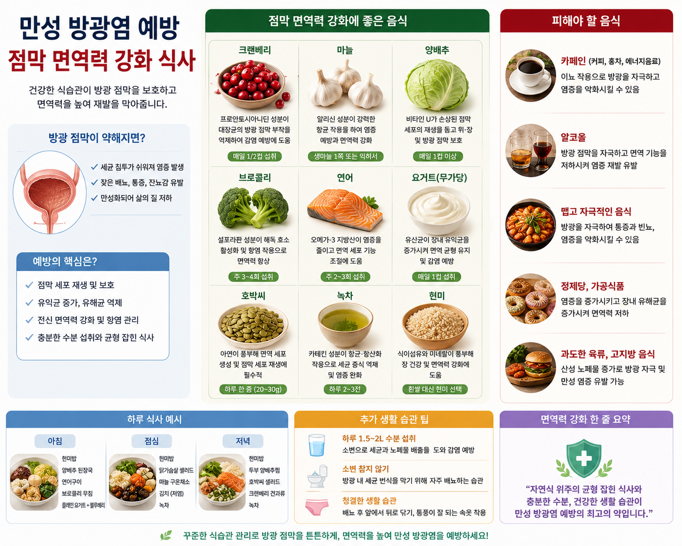 만성 방광염 예방 점막 면역력 강화 식사