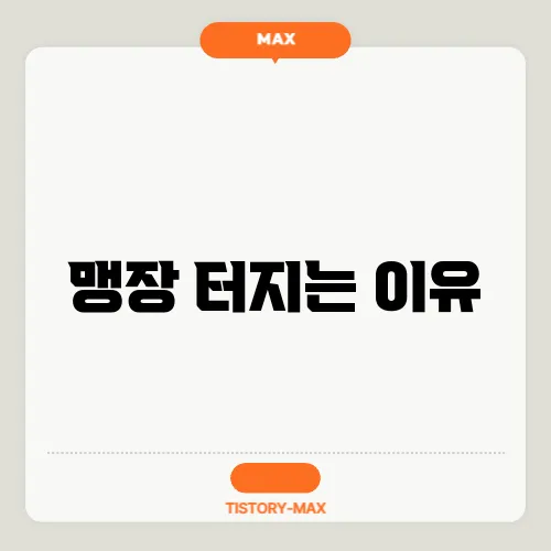 맹장 터지는 이유