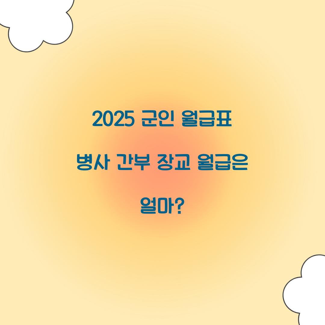 군인 월급표