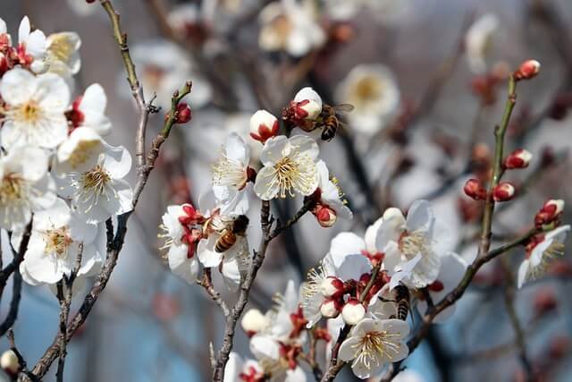 4월 축제 가볼만한 곳