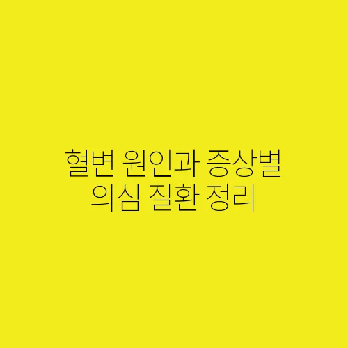 혈변 원인과 증상별 의심 질환 정리