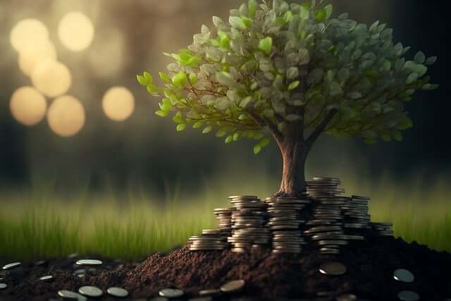 2025 상생페이백 신청 방법 캐시백 조건