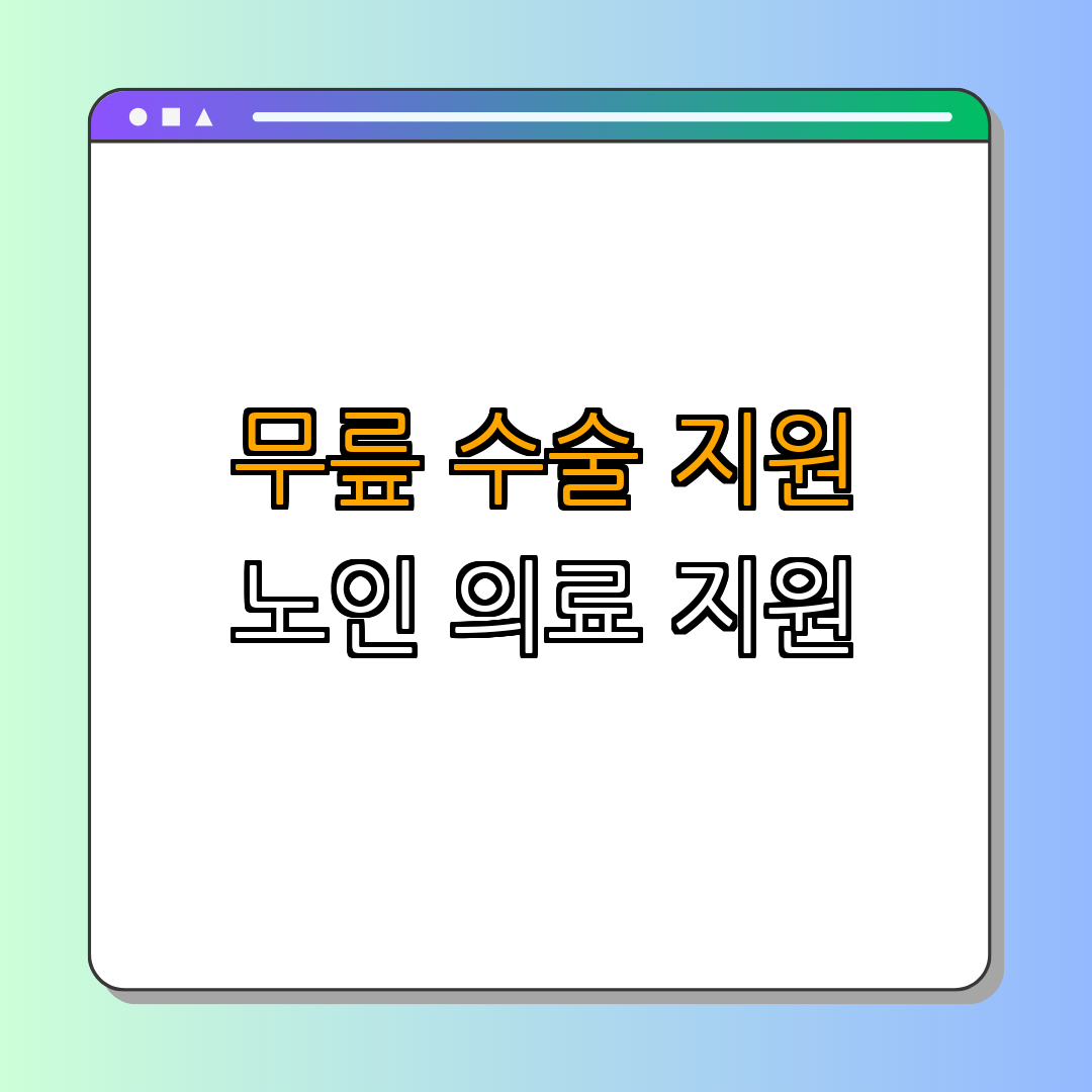경상북도 포항시 북구 ｜ 무릎인공관절 수술 지원 ｜ 노인 의료 지원 ｜ 의료비 부담 경감 ｜ 삶의 질 개선 ｜ 총정리