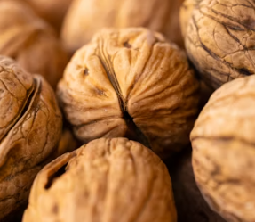 오메가3 많은 음식 식품