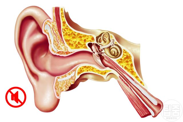 난청 증상 자가진단