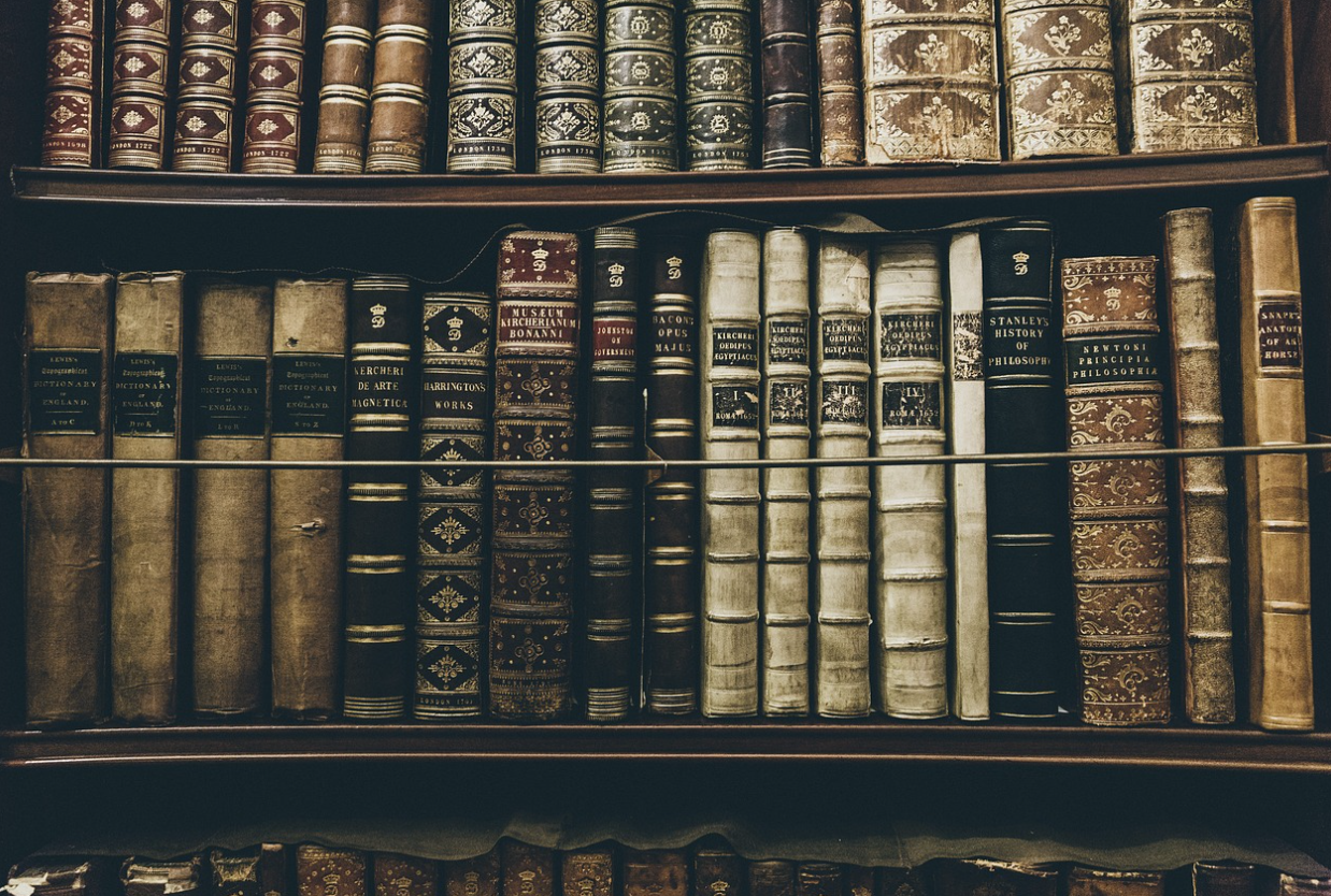 관심분야 심화 학습