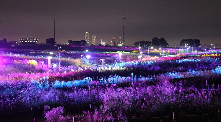 하늘공원-억새축제-서울정원박람회