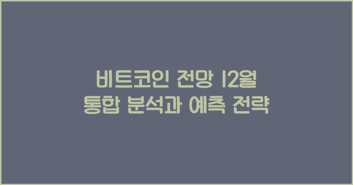 비트코인 전망 12월