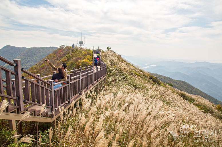 보령 모바일 스탬프 투어 참여 방법