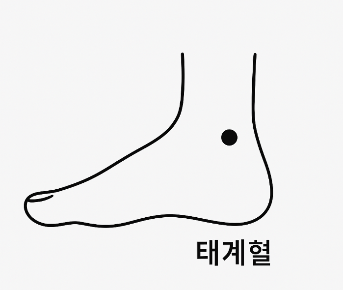 태계혈