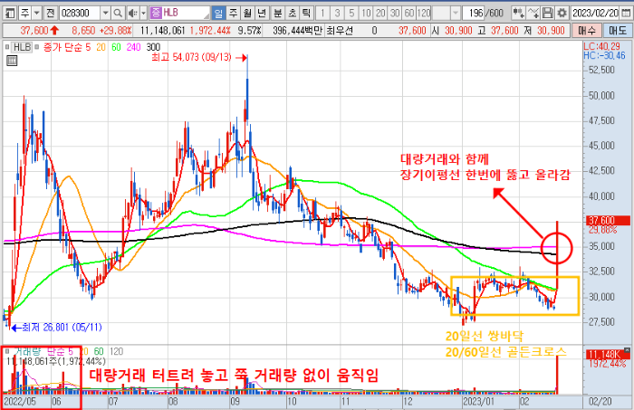 2월 20일 HLB 일봉 차트