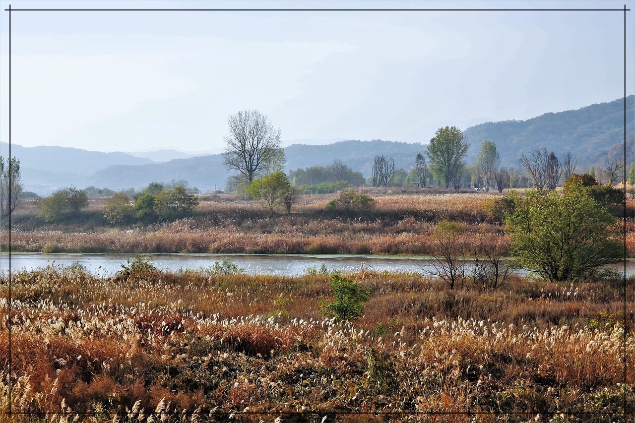 충북 음성 민생회복 소비쿠폰 사용처 총정리