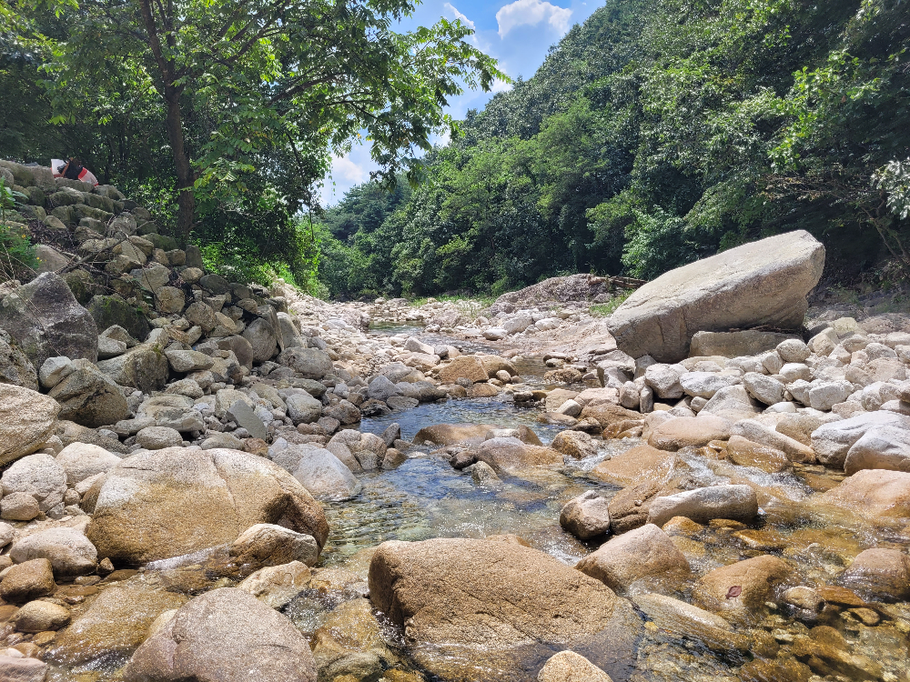 도마치 자연그대로 캠핑장 이용 후기