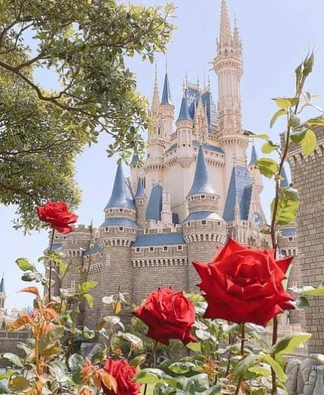 빨간 장미 꽃 뒤로 중세시대 모양의 성이 있다.
