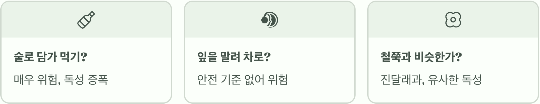 만병초꽃 효능 총정리, 관절염과 항암에 정말 좋을까?