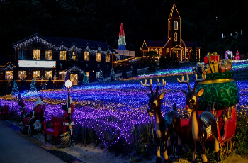 허브아일랜드 야경_1