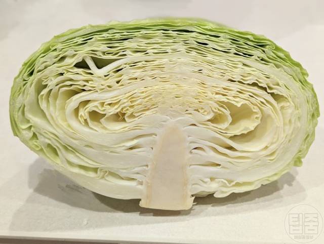 맛있는 양배추 고르는법 양배추 쓴맛 양배추심