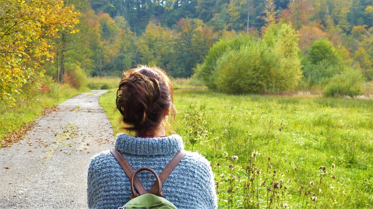 calm walk 관련 사진