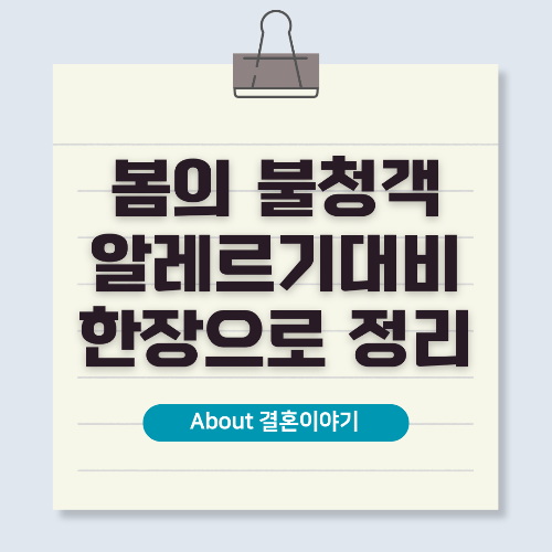 봄철 알레르기 대처법