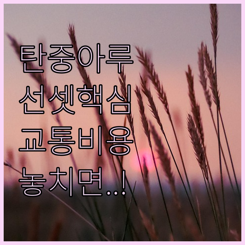 코타키나발루 탄중아루 선셋 미니버스 ..