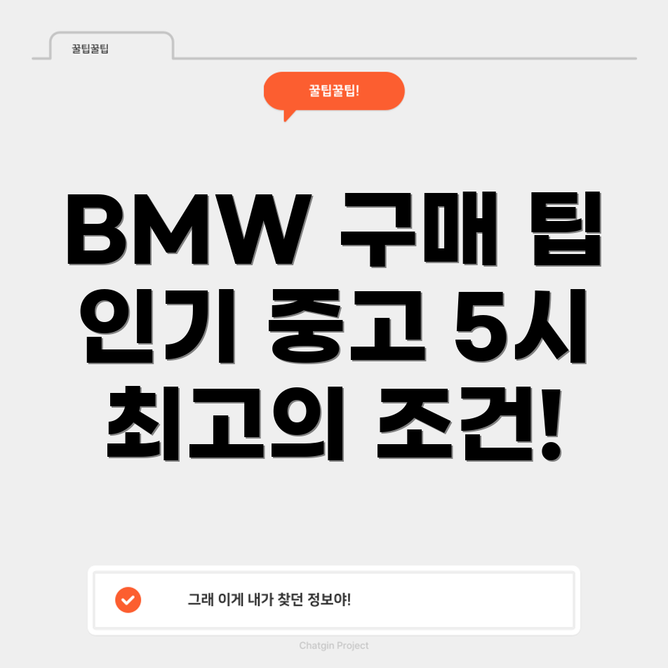 BMW 5시리즈 중고차 가격 설정