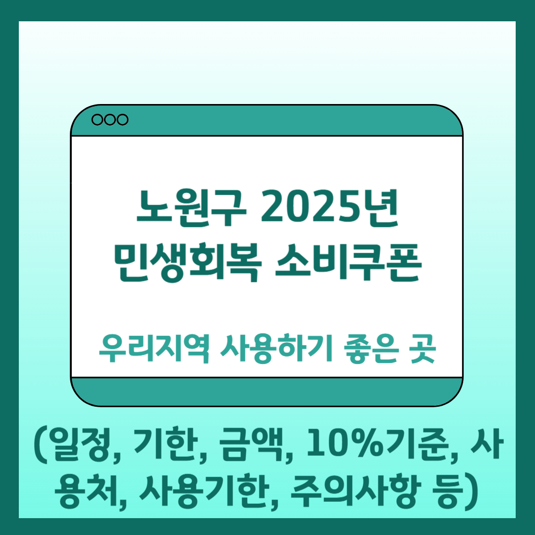 노원구 2025년 민생회복 소비쿠폰 사용처