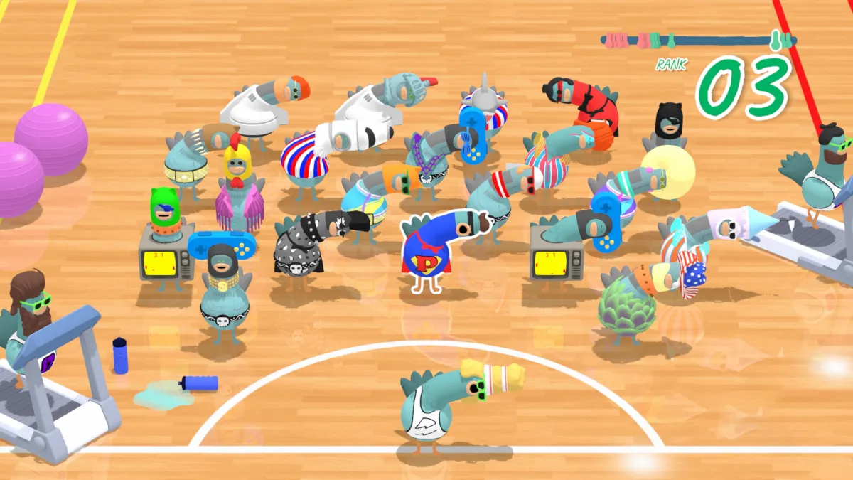 체육관에-여러-마리의-비둘기들이-체조를-하고있다