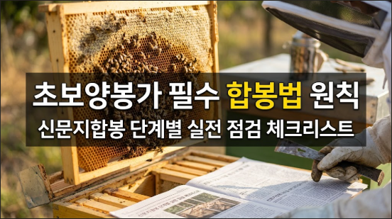 초봉양봉가 필수 합봉법 원칙 안내