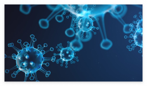 헬리코박터균 증상