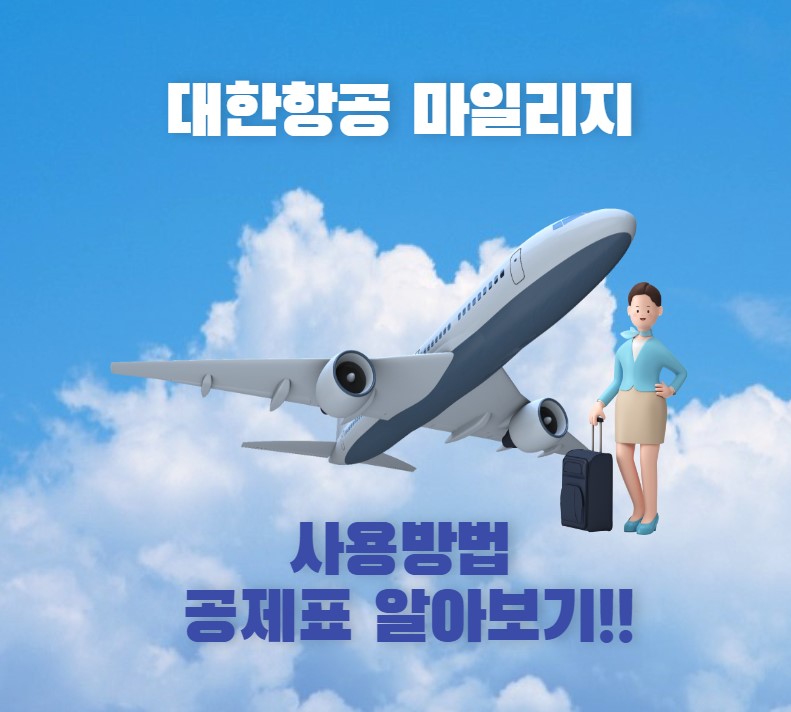 대한항공 마일리지 조회 사용방법 공제표