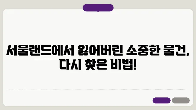 서울랜드 분실물 찾은 성공 스토리 분실물, 분실물 센터, 분실물 찾는 법