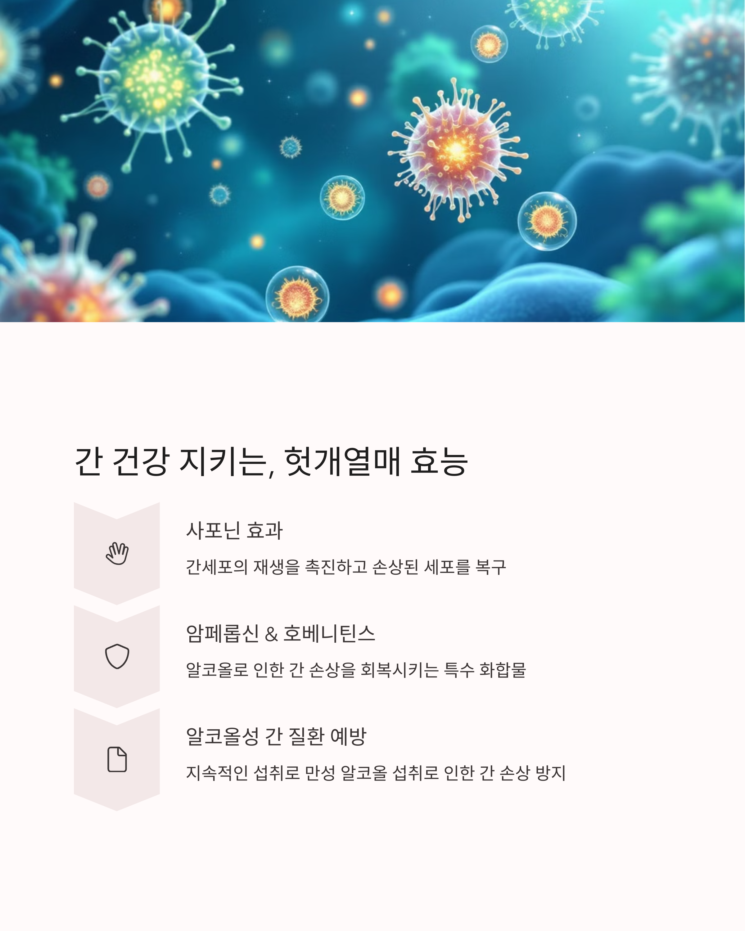 배에 가스 빼는법 술방울 열매 효능