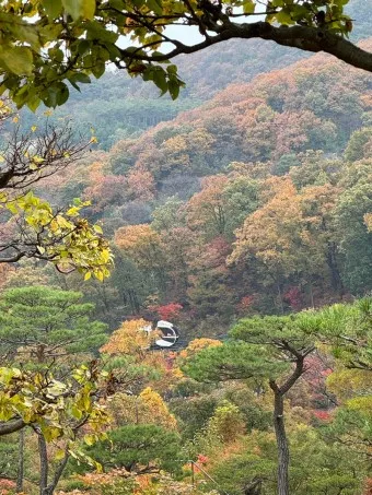 화담숲 예약하기 예약 방법 입장료 모노레일_12