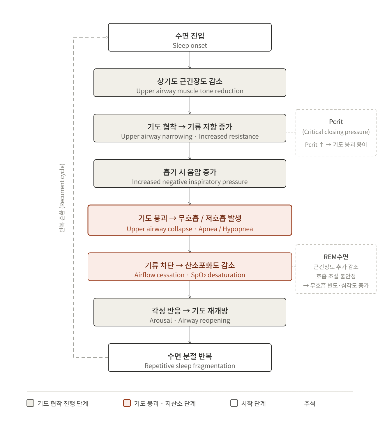 폐쇄성 수면무호흡증(OSA) 병태생리 기도 붕괴 흐름도